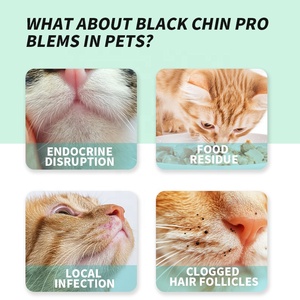 En gros, Lingettes humides pour animaux de compagnie en seau noir, pour le nettoyage des pattes des chats, lingettes nettoyantes pour les doigts, pour le bain, Meow, naturelles et écologiques - Product Image 3
