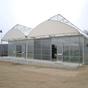 Invernadero grande multiusos de plástico para agricultura de doble capa Skyplant a la venta - Product Image 5