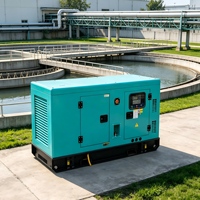 Générateur diesel silencieux Weichai 200 kW avec capot anti-intempéries, triphasé 50 Hz 60 Hz