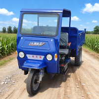 Tricycle diesel de cargaison avec la moto motorisée ouverte de 3 roues de corps pour la capacité de chargement