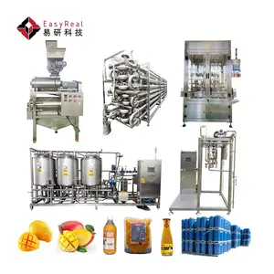 Small Invest Mango Concentrated Pulp Juice Production Line Making Machine Beverage Processing Plant for sale