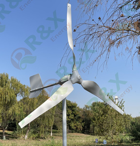 Custom 1kw to 10kw Horizontal Vertical Axis Wind Factory Residential Eolic Power System for Home Roof Wind <b>Generators</b> RX-F5 800W - Product Image 3