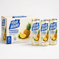 Kant-en-klare drank 10% gearomatiseerd fruitconcentraat bruisende limonade drank blik/fles verpakking fabriek direct leverbaar