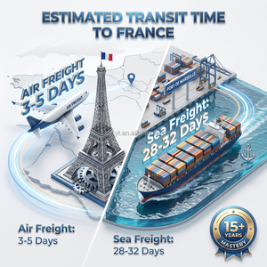 Service d'expédition DDP <span class=keywords><strong>Chine</strong></span>-France, transitaire professionnel depuis 15 ans, logistique transparente pour marchandises spéciales, électronique et textiles - Product Image 3