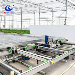 Système de bancs roulants <span class=keywords><strong>en</strong></span> maille pour la logistique des herbes culinaires, lit de culture mobile automatique pour le <span class=keywords><strong>basilic</strong></span>, la menthe et la culture intensiviste d'herbes aromatiques - Product Image 6