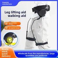 Exosquelette de rééducation pour personnes âgées LEIHU de poids moyen, équipement d'entraînement pour AVC, hémiplégie, aide à la marche et au levage des membres inférieurs