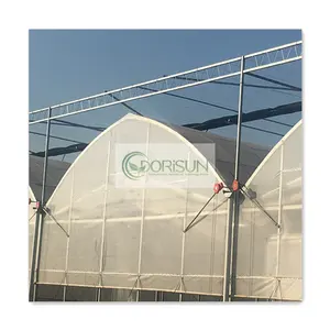 Multi-Span Agricultural Greenhouse Tunnels For Tomato Vegetable Growing