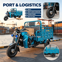 Tricycle à essence certifié CEE, moto cargo à 3 roues, capacité de 400 kg, plateforme ouverte pour 3 passagers, pour le transport