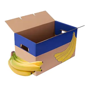 Kotak kemasan bergelombang pisang segar Catron buah pertanian kertas keras kustom Tiongkok