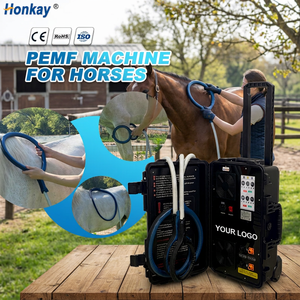 Appareil de thérapie magnétique PEMF portable pour chevaux, écran tactile, formation gratuite, réparation musculaire, utilisation domestique. - Product Image 1