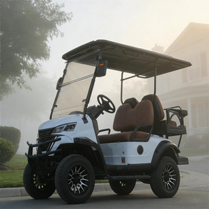 Voiturette de golf électrique, véhicule électrique, longue portée, camping/golf, certifiée CE pour les routes non publiques - Product Image 1