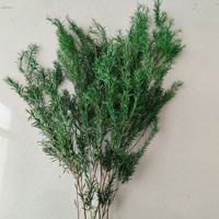 Rangkaian Bunga Kering Emas Berlapis Abadi, Eucalyptus Diawetkan, Aksen Dekoratif, Bahan Aromaterapi, Untuk Penggunaan Dalam Ruangan