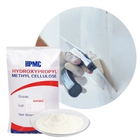 Poudre HPMC de fabrication chinoise pour mortier sec, adhésif pour carrelage, EIFS et mastic mural, avec une qualité stable