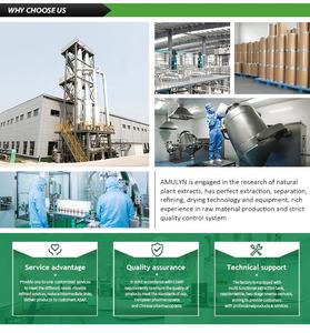 アミュリン工場供給卸売アピゲニン粉末カモミールエキス98％アピゲニン - Product Image 4