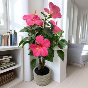 Plantes vertes artificielles élégantes <span class=keywords><strong>en</strong></span> vrac d'arbre d'hibiscus pour la décoration extérieure intérieure de haute qualité de la Chine pour les articles décoratifs de chambre - Product Image 5