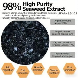 Extrait d'algues de haute pureté en poudre, acide alginique, engrais organique entièrement soluble dans l'eau, favorise l'enracinement des plantes, agriculture - Product Image 1