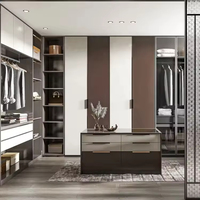 Dressing sur mesure moderne haut de gamme avec porte à panneau plat, design gain de place