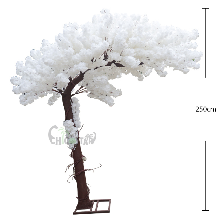 Blanc 2,5M