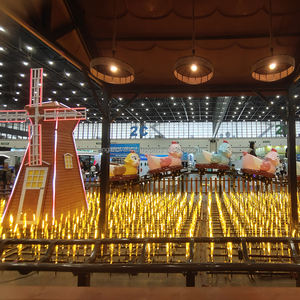 Tren de juguete con animales de dibujos animados, aprobado por la CE, para parques familiares. - Product Image 6