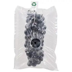 High Quality Pe + Pa Material Grape Anti-corrosion Protection Ordinary Air Column Bag