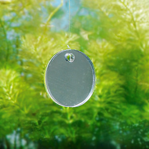 Espejo de entrenamiento acrílico para Bettas, espejo de doble cara con bola flotante Ray <span class=keywords><strong>Dragon</strong></span>, espejo externo con ventosa para acuario - Product Image 2