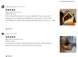 Houten moderne witte honden- en kattenhuis voor binnen met acryldeur, huisdierenmeubilair, binnenhondenhok - Product Image 4