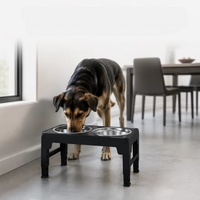 Station de nourrissage surélevée réglable pour animaux de compagnie, double bols en acier inoxydable, support surélevé en plastique pour chiens et chats, intérieur/extérieur