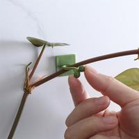 Penjepit Tanaman Rambat 10pcs, Penahan Scindapsus, Penyangga Cirrus, Pengikat Tanaman Gantung Dinding, Penahan Tanaman Ivy