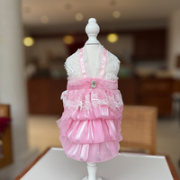 Robe de princesse de luxe en dentelle pour chien, jupe douce pour petits chiens et chats, robe de soirée respirante pour chiot, vêtements mignons pour chat