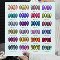 Nouveau Kit de Vernis Gel Effet Œil de Chat Danny Coll 24 Couleurs, Présentoir de Livraison, Fournisseur Professionnel en Gros pour Usines de Produits Ongulaires, Personnalisable