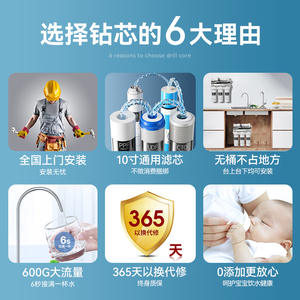 Df 400Gpd - Product Image 5