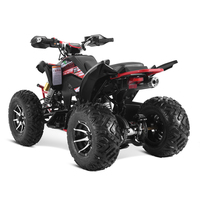 Tao Motor 2024 Nouveau VTT 250cc 4x2 Sport à Transmission par Chaîne