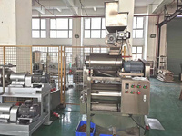 Kleine Investeren Mango Geconcentreerd Pulp Sap Productielijn Making Machine Drank Verwerkingsbedrijf Voor Verkoop
