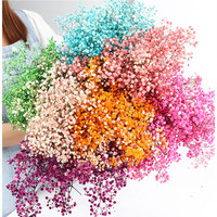 Série de Fleurs Séchées : Rose Séchée, Grandes Herbes de la Pampa, Queue de Lapin, Gypsophile, Fleur de Cristal, Hortensia, Fleurs Séchées de la Pampa
