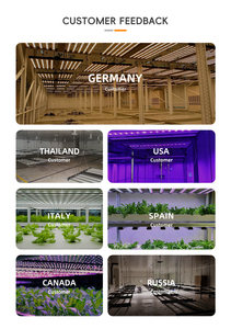 Luce per Coltivazione a Spettro Completo Dimmerabile 1000W 720W 640W 320W 240W per Serra 4x4 4x6ft Piante da Interno Luce <span class=keywords><strong>LED</strong></span> Commerciale per Coltivazione - Product Image 6