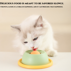 New Design Plastic Cat Chew Toys Eco-friendly Anti-Knock Self-Pleasure Plate Boredom Relief Slow <strong>Food</strong> Snacks Tooth Cleaning - Product Image 1