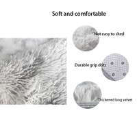 Anti-Slip Fluffy Large Living Room Carpet Modern Area Rug for Bedroom Home Decoration Bulk Wholesale