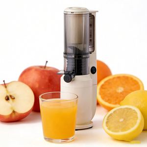 Presse-agrumes portable à extraction lente <span class=keywords><strong>pour</strong></span> fruits, idéal <span class=keywords><strong>pour</strong></span> les hôtels, restaurants, bureaux et camping-cars – Meilleures ventes - Product Image 2