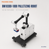 Mesin Palletizer Robot Otomatis BM1030D-1800, Beban Angkut 30kg, Jangkauan Lengan 1900mm untuk Penumpukan Kotak Karton, Pengemasan Akhir Jalur Produksi