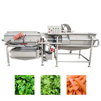 304 RVS Wervelstroom Groente- en Fruitwasmachine