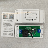 Interruptor Wifi Inteligente TUYA para el Hogar, Control Remoto Inalámbrico, Temporizador de Luz, Módulos DIY a través de la Aplicación, Compatible con Alexa