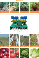 Machine à planter pour planteur de semis d'oignon tabac planteur à vendre légumes