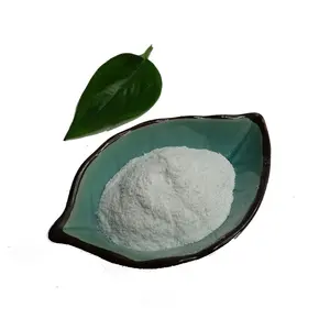 Acide aminé de qualité alimentaire L(+)-poudre de chlorhydrate d'ornithine CAS 3184-13-2 L-ornithine hcl