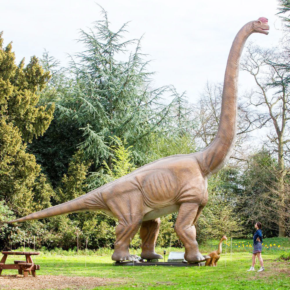 แบรคิโอซอรัส