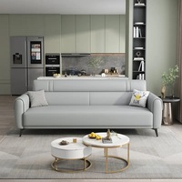 Modernes Kratzfestes Ledersofa, Gepolstertes 3-Sitzer-Sofa mit Eukalyptusholzrahmen für Wohnzimmer Hotel OEM ODM