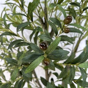 Usine <span class=keywords><strong>prix</strong></span> de gros taille personnalisée <span class=keywords><strong>olivier</strong></span> artificiel bonsaï fausse plante pour la maison Restaurants hôtel bureau décoration - Product Image 3