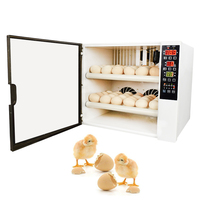Incubateur d'œufs de volaille entièrement automatique à double tension 220v 12v de haute qualité à prix avantageux pour poulets, cailles, autruches, canards, oies - Nouveau