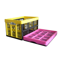 Caisse pliable en maille en plastique empilable pour le stockage de plantes de couleur personnalisée pour les fruits et légumes