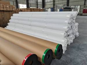 Papel Tapiz Moderno Ecológico de 290 g/m², Imprimible, Super Ancho, No Tejido, Impermeable, Resistente a los Arañazos, Fácil de Instalar, para Decoración del Hogar, Dormitorio o Gimnasio - Product Image 6