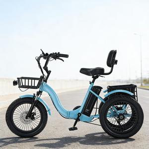 Tricycle à assistance pédale YUXIAO 18 pouces, batterie lithium 48V, moteur avant sans balais, autonomie 40 km, pneus épais EB-026, pneus épais Provi - Product Image 2